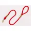 Ruff and Tumble Clip Lead - Brick Red